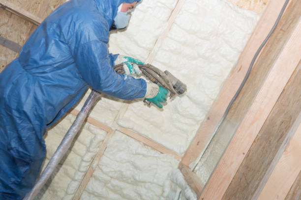 Best Insulation for New Construction  in New Baltimore, MI